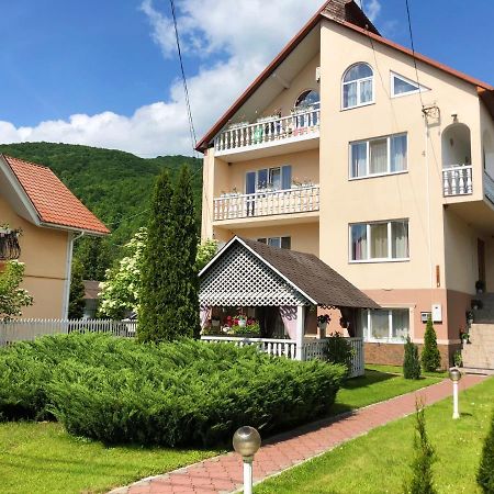 Hotel У Оксани Solochyn Exterior foto