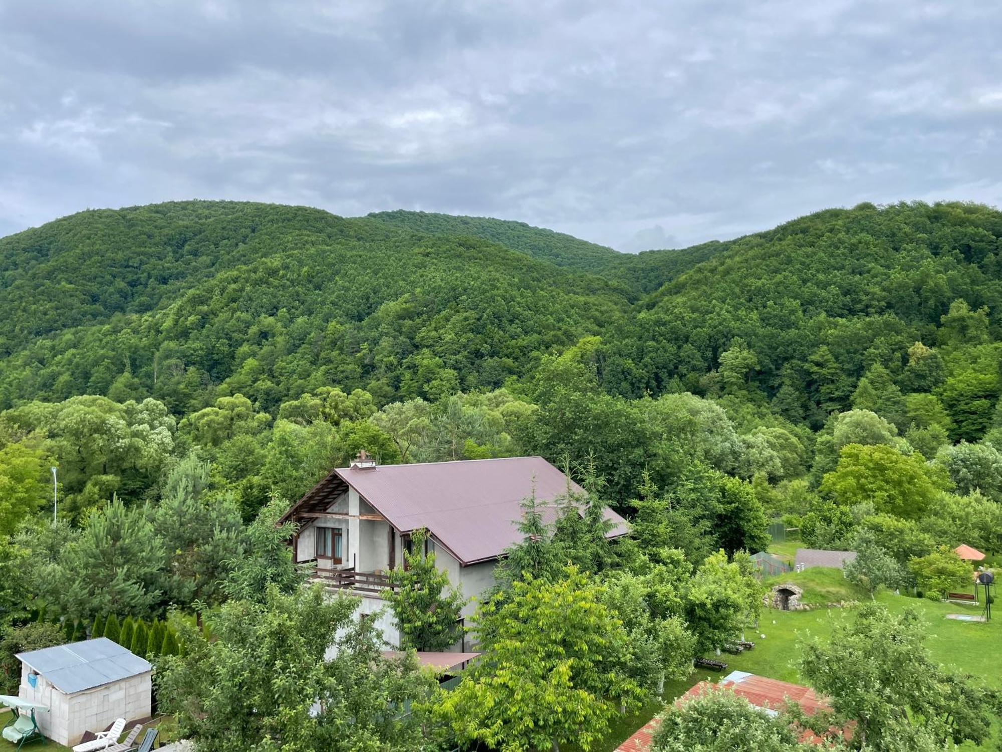 Hotel У Оксани Solochyn Exterior foto